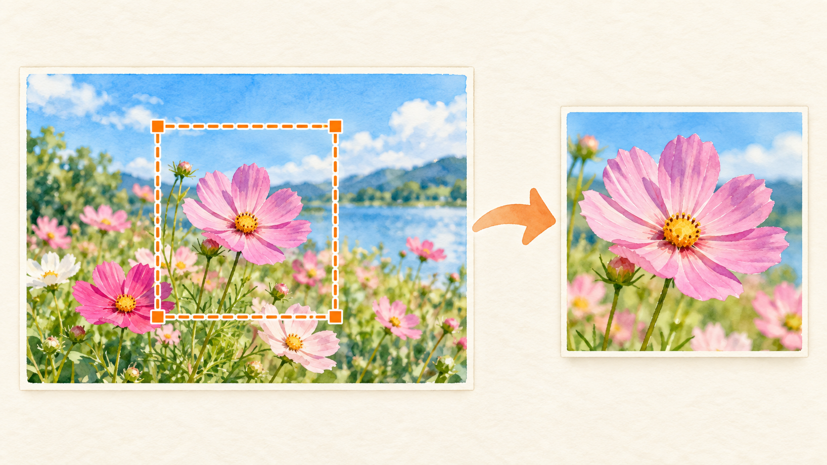 元の写真を残しながら必要な範囲を切り抜くイメージ